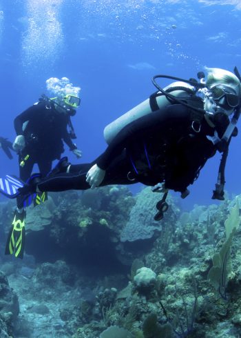 diving01 diving01